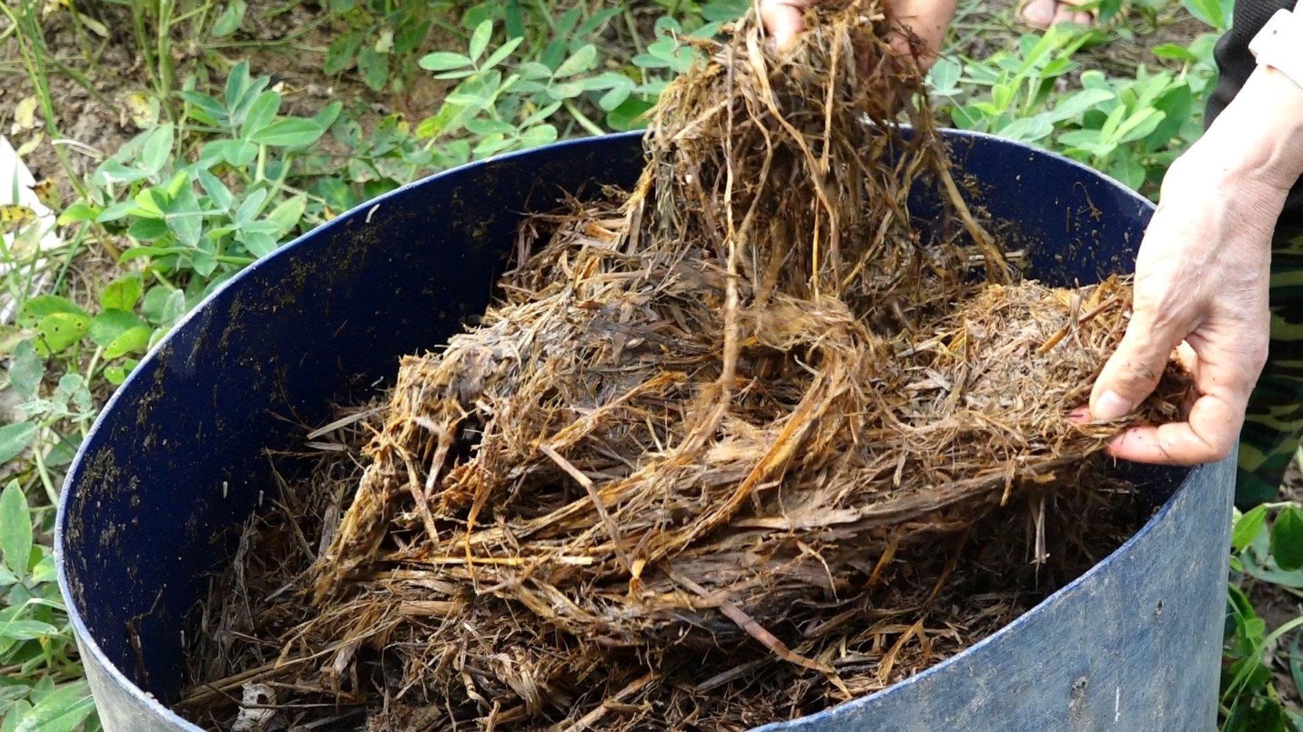 Hoài Đức tăng cường xử lý rơm rạ sau thu hoạch, bảo vệ môi trường và sản xuất vụ mùa an toàn- Ảnh 1.