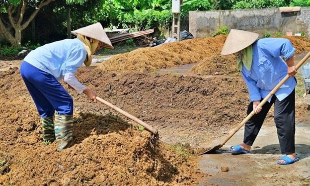 Hoài Đức tăng cường xử lý rơm rạ sau thu hoạch, bảo vệ môi trường và sản xuất vụ mùa an toàn- Ảnh 2.