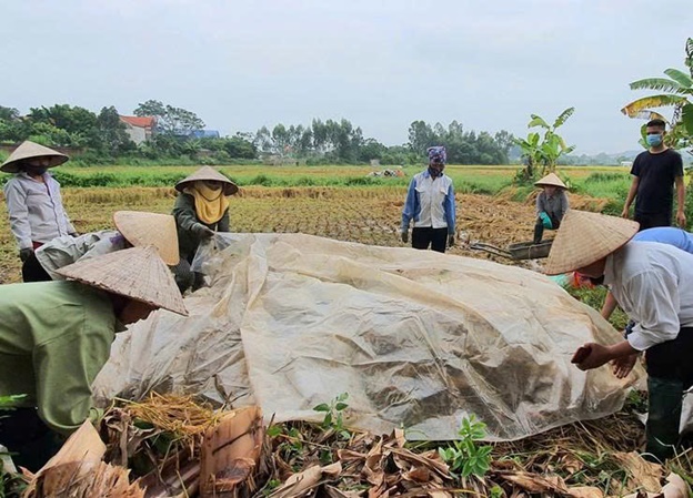 Hoài Đức tăng cường xử lý rơm rạ sau thu hoạch, bảo vệ môi trường và sản xuất vụ mùa an toàn- Ảnh 3.