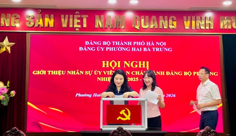 Đảng uỷ phường Hai Bà Trưng tổ chức các hội nghị giới thiệu, kiện toàn nhân sự- Ảnh 3.