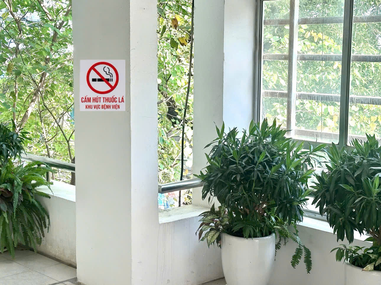 Ngày Thế giới không thuốc lá (31-5): Vạch trần sự hấp dẫn giả tạo của thuốc lá thế hệ mới- Ảnh 1.