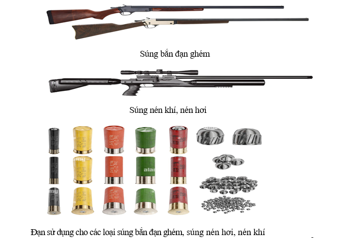 TUYÊN TRUYỀN QUY ĐỊNH CỦA PHÁP LUẬT VỀ QUẢN LÝ, SỬ DỤNG VŨ KHÍ, VẬT LIỆU NỔ VÀ CÔNG CỤ HỖ TRỢ- Ảnh 1.