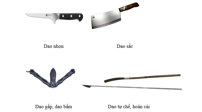 TUYÊN TRUYỀN QUY ĐỊNH CỦA PHÁP LUẬT VỀ QUẢN LÝ, SỬ DỤNG VŨ KHÍ, VẬT LIỆU NỔ VÀ CÔNG CỤ HỖ TRỢ- Ảnh 3.