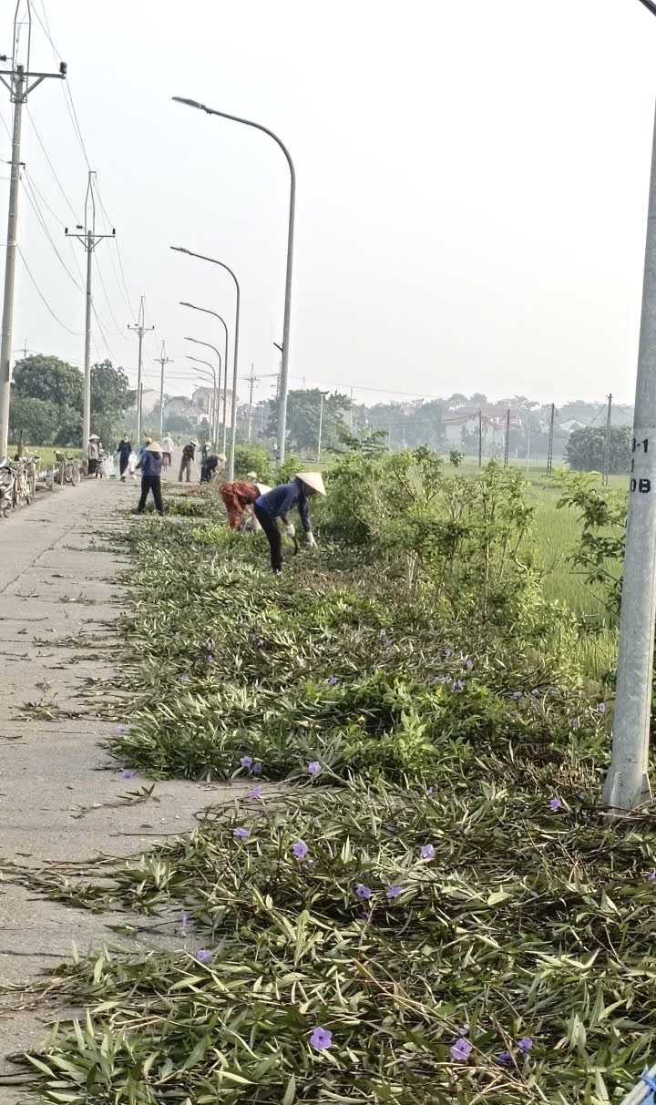 PHÚC LỘC TƯNG BỪNG CÁC HOẠT ĐỘNG CHÀO MỪNG 01 NĂM THÀNH LẬP XÃ (01/7/2025 – 1/7/20276)- Ảnh 1.