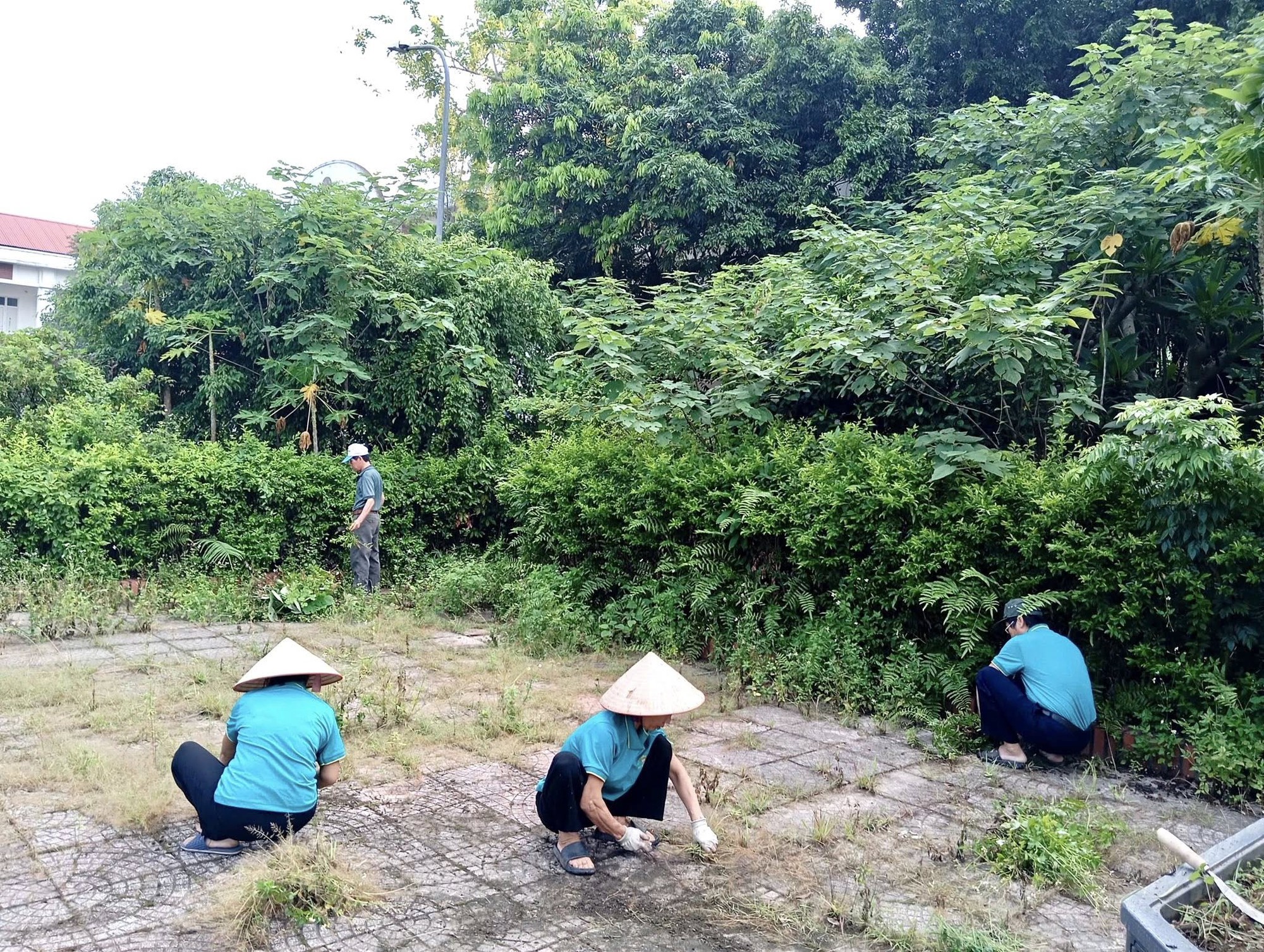 Ra quân tổng vệ sinh khuôn viên Đài tưởng niệm liệt sĩ Dương Quang- Ảnh 4.