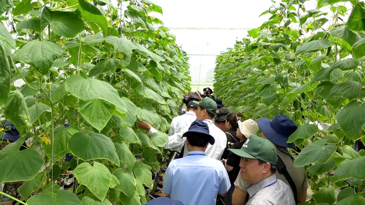 Đại sứ quán Israel tại Việt Nam tổ chức Hội thảo giới thiệu giải pháp và công nghệ Israel tại nông trại Terrasol Farm xã Hồng Sơn- Ảnh 10.