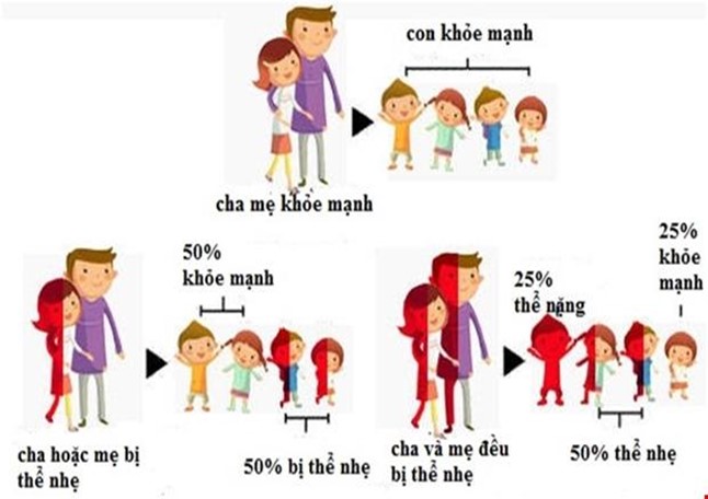 Hành động ngay vì một tương lai không còn bệnh
 tan máu bẩm sinh (Thalassemia)- Ảnh 2.