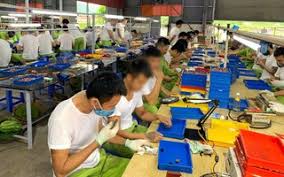 Ngân hàng CSXH Phúc Thọ triển khai Chương trình cho vay mới đối với người sau cai nghiện ma túy- Ảnh 2.