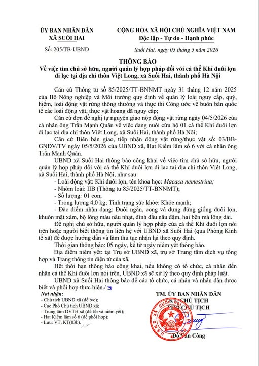 THÔNG BÁO

Về việc tìm chủ sở hữu, người quản lý hợp pháp đối với cá thể Khỉ đuôi lợn đi lạc tại địa chỉ thôn Việt Long, xã Suối Hai, thành phố Hà Nội- Ảnh 1.