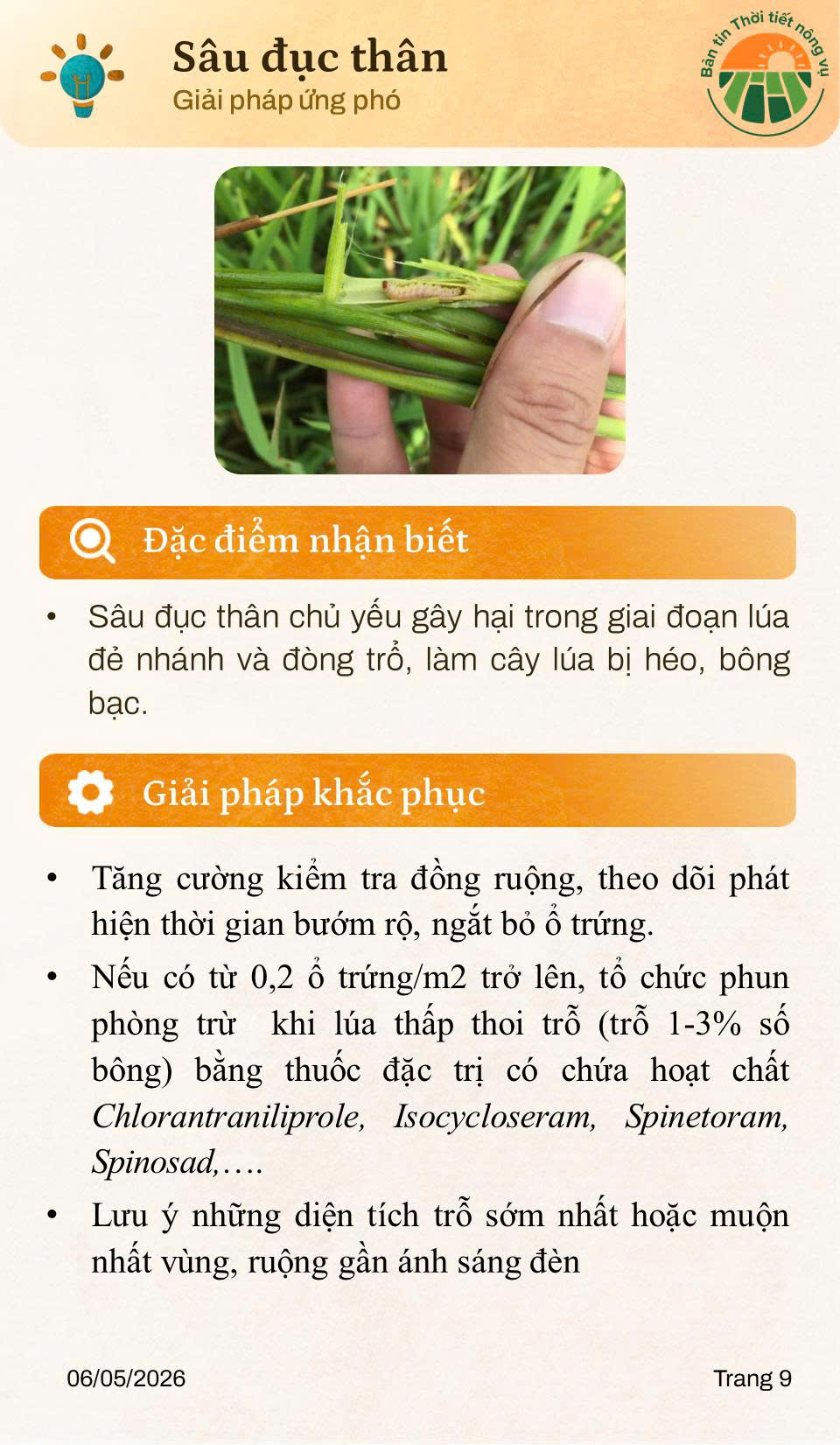 BẢN TIN THỜI TIẾT NÔNG VỤ THÁNG 5/2026- Ảnh 9.
