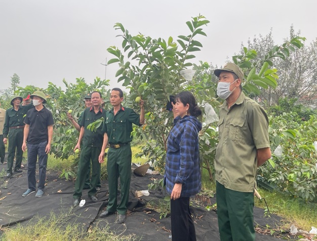 Những dấu ấn thực chất từ phong trào "Dân vận khéo" tại xã Hoài Đức- Ảnh 3.
