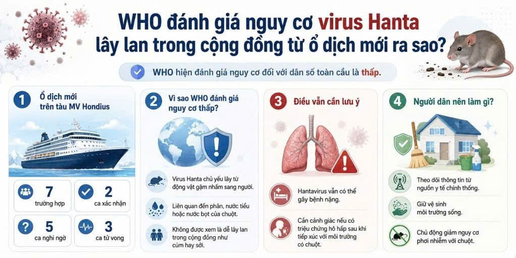 Bệnh do vi rút Hanta: Không hoang mang nhưng tuyệt đối không chủ quan- Ảnh 1.