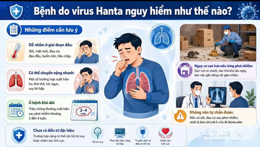 Bệnh do vi rút Hanta: Không hoang mang nhưng tuyệt đối không chủ quan- Ảnh 2.
