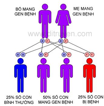 http://dansohcm.gov.vn/wp-content/uploads/009.JPG