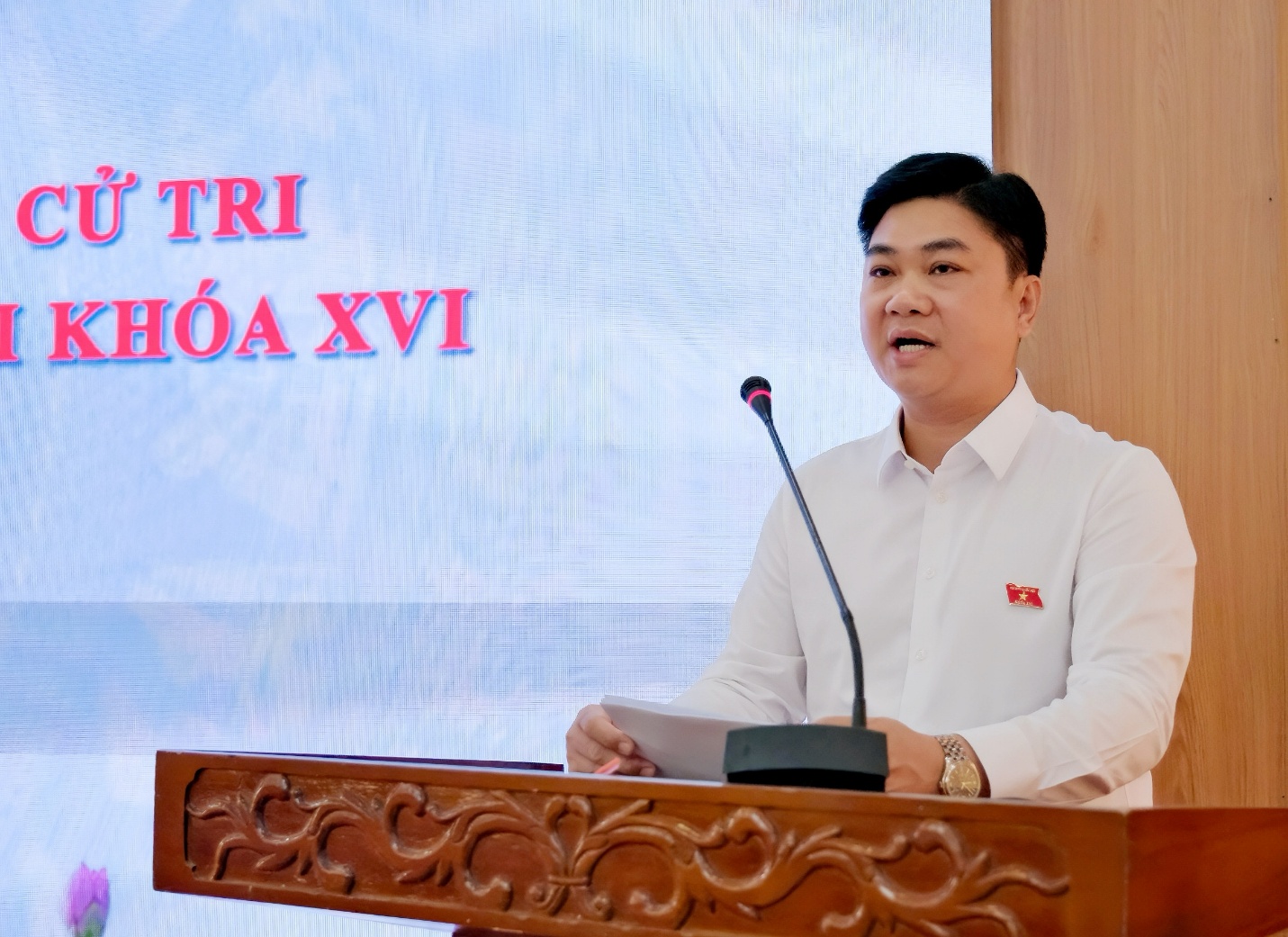 Đại biểu Quốc hội thành phố Hà Nội tiếp xúc cử tri đơn vị bầu cử số 6- Ảnh 6.