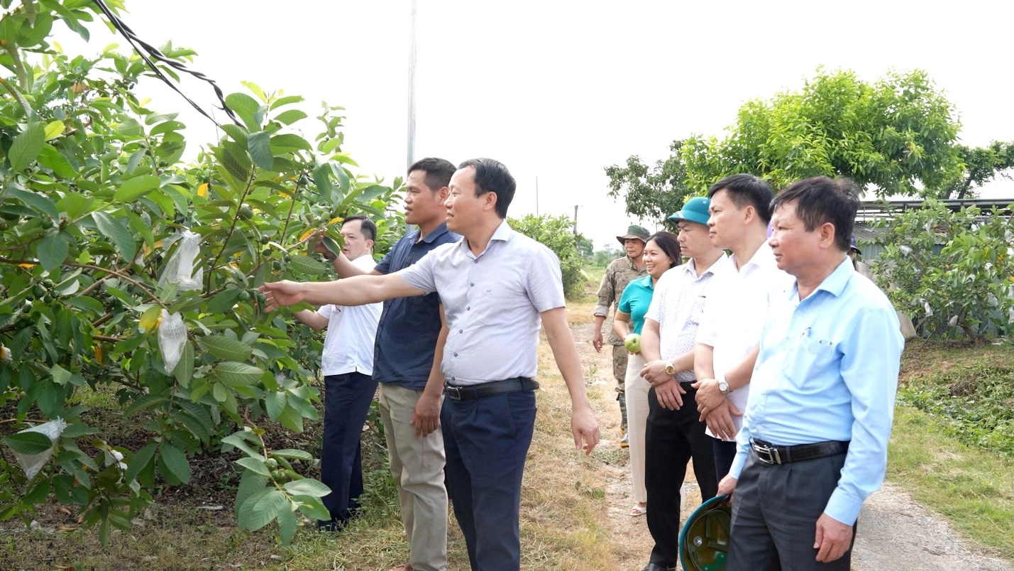 Thắm tình đoàn kết - Hội Nông dân tỉnh Nghệ An thăm quan mô hình kinh tế tiêu biểu tại xã Hoài Đức- Ảnh 3.