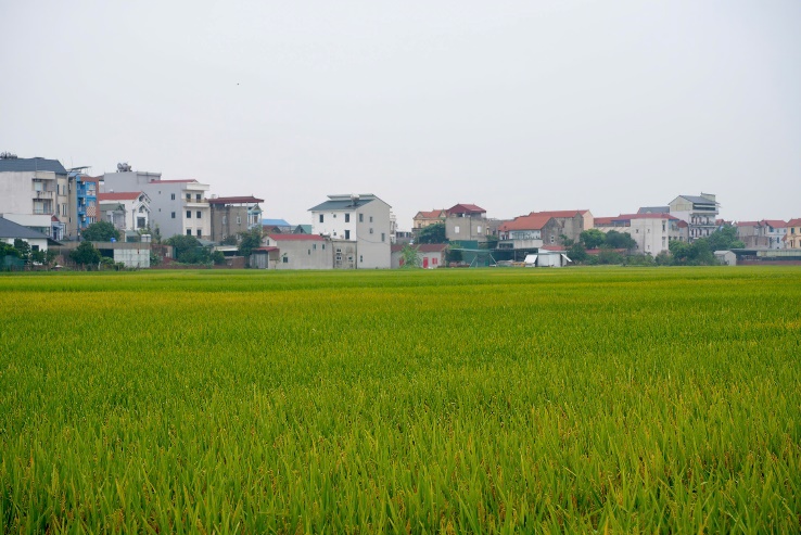 XÃ KIM ANH TỔ CHỨC HỘI NGHỊ ĐÁNH GIÁ NĂNG SUẤT VÀ NGHIỆM THU THỦY LỢI PHÍ VỤ XUÂN NĂM 2026- Ảnh 2.