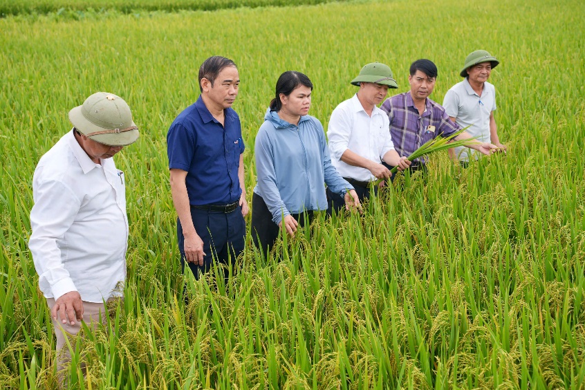 XÃ KIM ANH TỔ CHỨC HỘI NGHỊ ĐÁNH GIÁ NĂNG SUẤT VÀ NGHIỆM THU THỦY LỢI PHÍ VỤ XUÂN NĂM 2026- Ảnh 4.