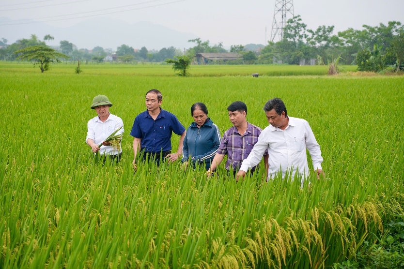 XÃ KIM ANH TỔ CHỨC HỘI NGHỊ ĐÁNH GIÁ NĂNG SUẤT VÀ NGHIỆM THU THỦY LỢI PHÍ VỤ XUÂN NĂM 2026- Ảnh 6.