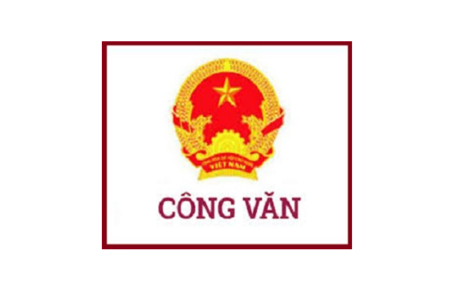 Hưởng ứng cuộc thi trực tuyến “Tìm hiểu Luật phòng, chống ma túy và các văn bản hướng dẫn thi hành” hưởng ứng Tháng hành động phòng, chống ma túy năm 2026 trên địa bàn phường Hai Bà Trưng.