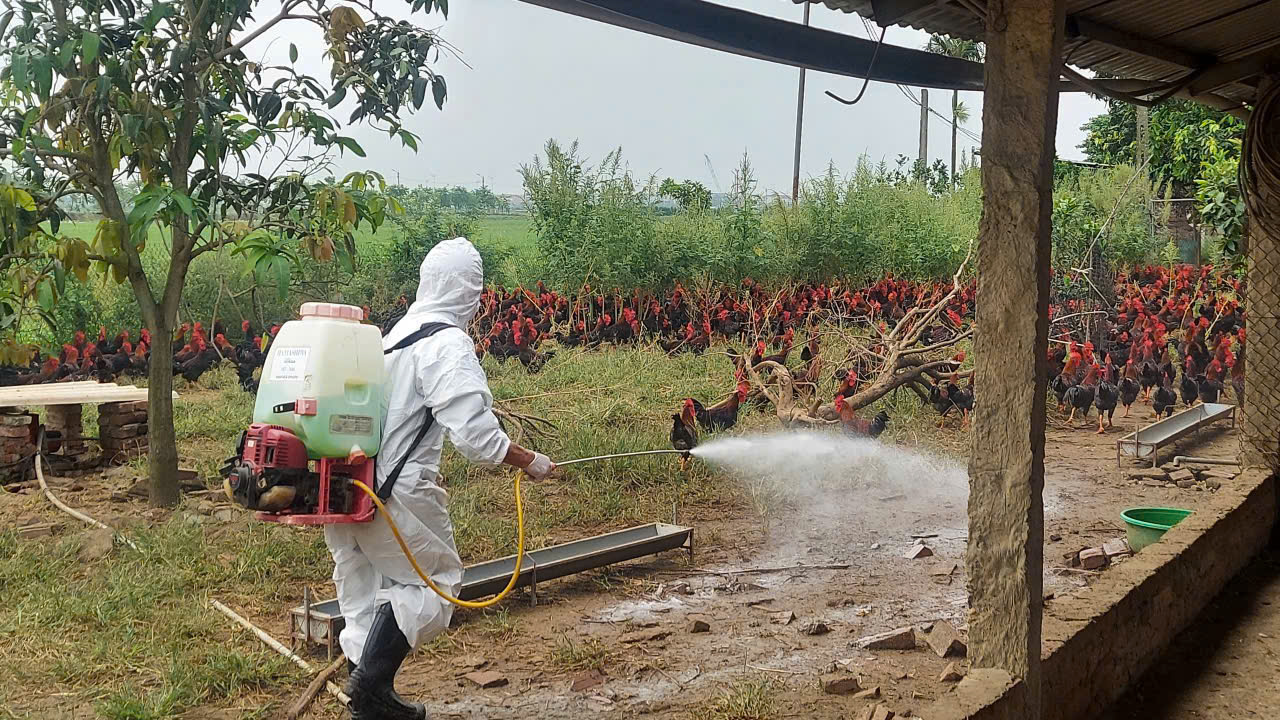 Xã Tiến Thắng đồng loạt phun khử trùng, tiêu độc phòng, chống dịch bệnh- Ảnh 2.