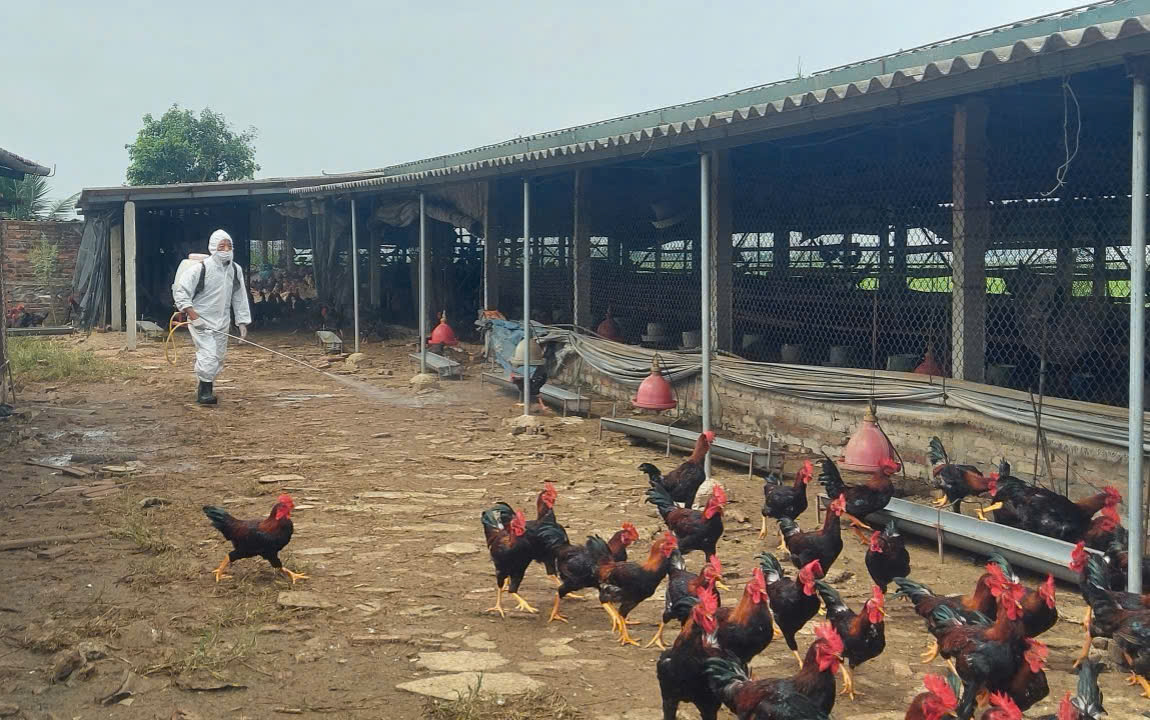 Xã Tiến Thắng đồng loạt phun khử trùng, tiêu độc phòng, chống dịch bệnh- Ảnh 3.
