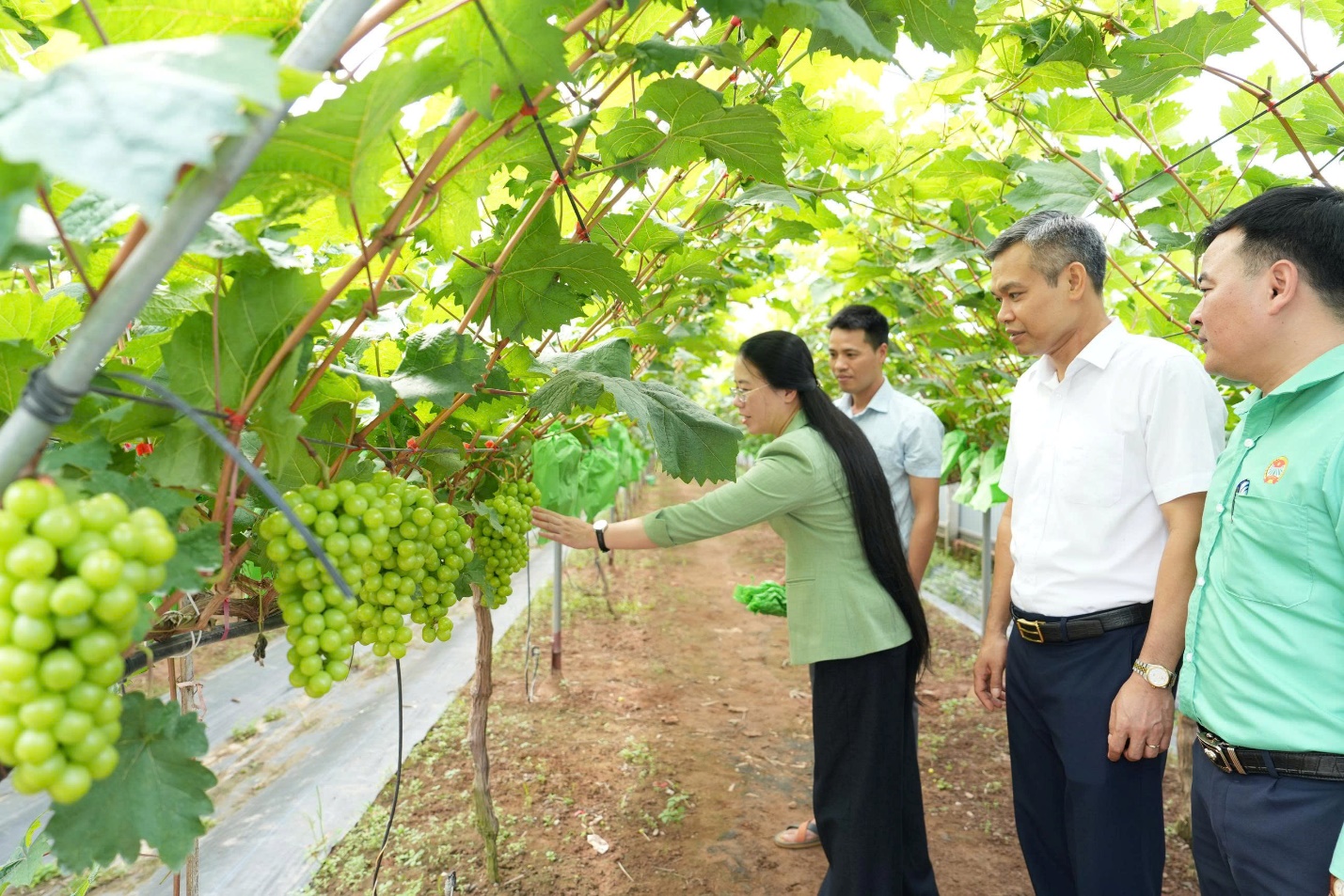 A group of people in a vineyard  AI-generated content may be incorrect.