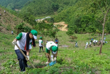 Hà Nội công bố danh mục thủ tục hành chính được sửa đổi, bổ sung lĩnh vực Lâm nghiệp và Kiểm lâm- Ảnh 1. Hà Nội công bố danh mục thủ tục hành chính được sửa đổi, bổ sung lĩnh vực Lâm nghiệp và Kiểm lâm- Ảnh 1.