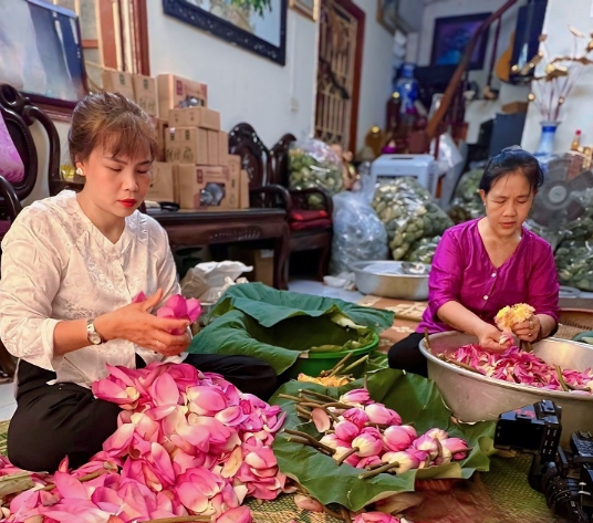Trà sen Tây Hồ vào vụ- Ảnh 4.
