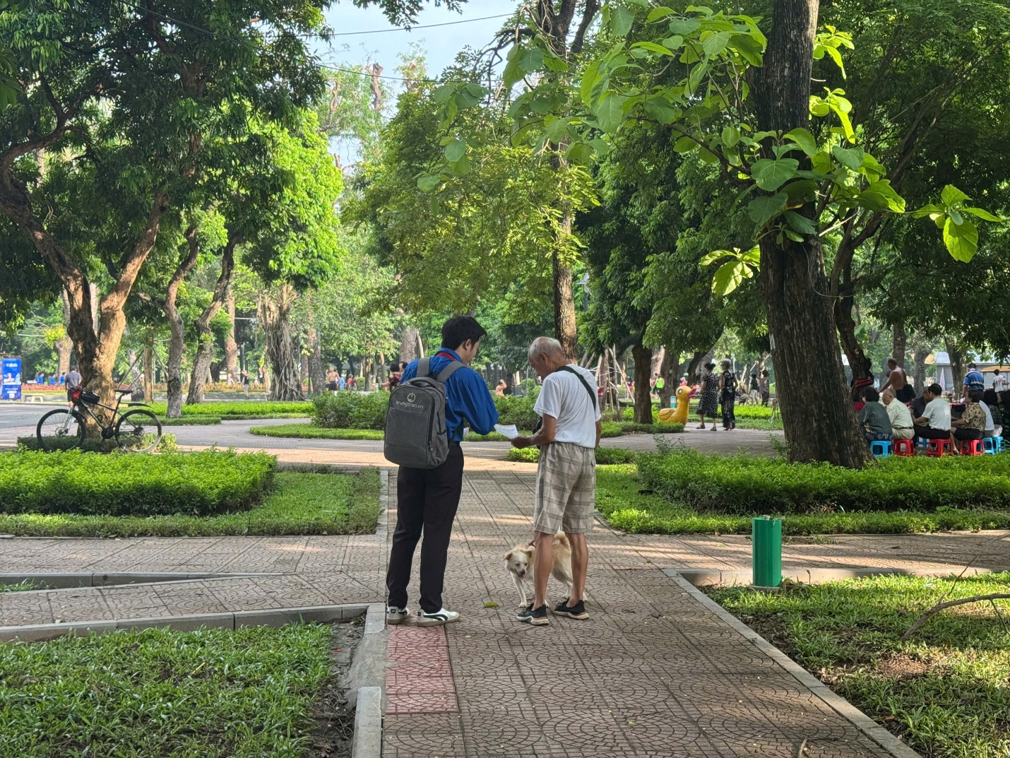 Phường Hai Bà Trưng: Ra quân cao điểm xử lý chó thả rông tại công viên Thống Nhất.- Ảnh 6.