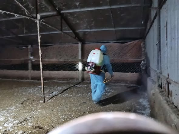 CHỦ ĐỘNG THỰC HIỆN AN TOÀN SINH HỌC TRONG CHĂN NUÔI – GIẢI PHÁP CĂN CƠ PHÒNG, CHỐNG DỊCH BỆNH ĐỘNG VẬT- Ảnh 1.