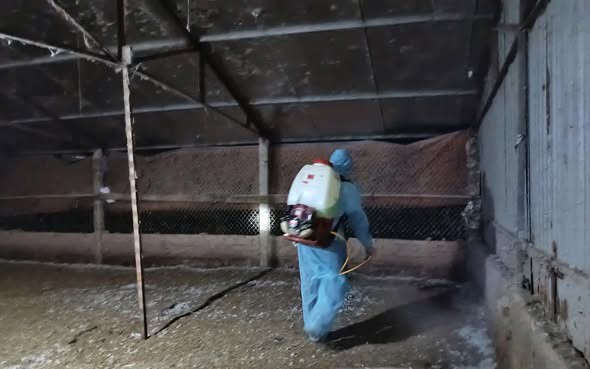 CHỦ ĐỘNG THỰC HIỆN AN TOÀN SINH HỌC TRONG CHĂN NUÔI – GIẢI PHÁP CĂN CƠ PHÒNG, CHỐNG DỊCH BỆNH ĐỘNG VẬT