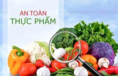 Bảo đảm an toàn thực phẩm, phòng ngừa ngộ độc thực phẩm trong dịch vụ ăn uống và thức ăn đường phố- Ảnh 1.