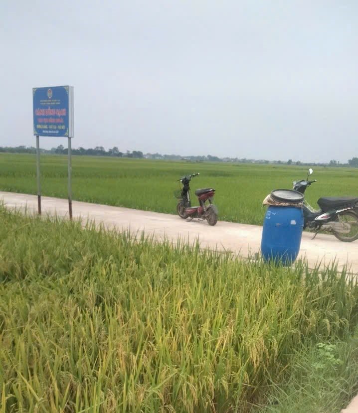 Xã Vật Lại trang bị thùng thu gom chai lọ, vỏ thuốc bảo vệ thực vật trên các cánh đồng- Ảnh 3.