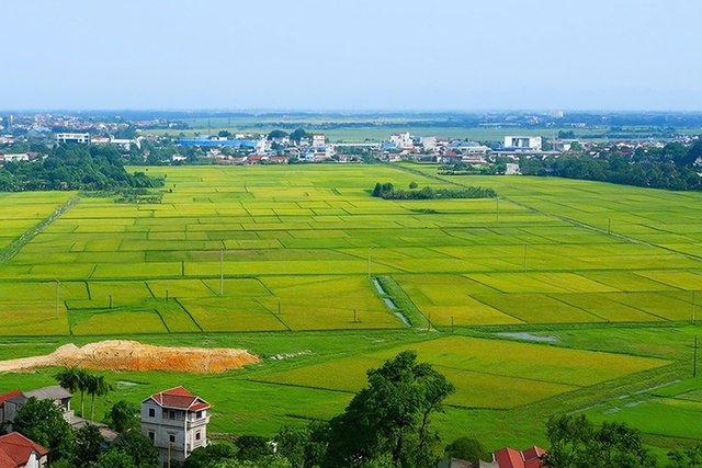 Hà Nội phê duyệt quy trình điện tử tính lại tiền sử dụng đất cấp xã- Ảnh 1.