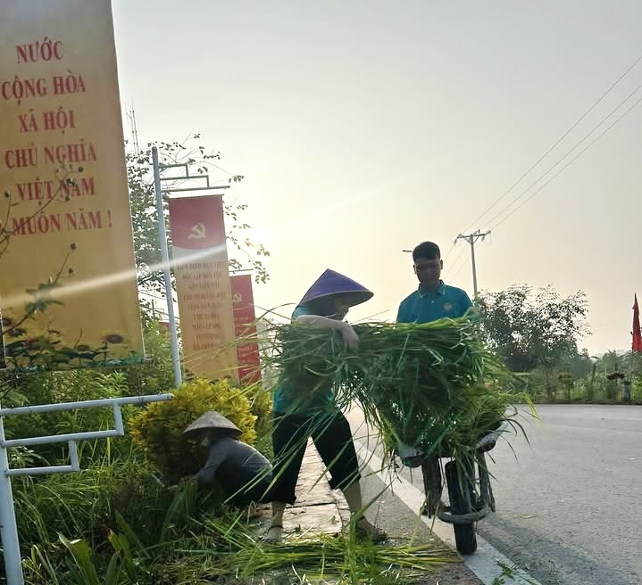 Đồng chí Phùng Mạnh Toàn – Cán bộ Đoàn tiên phong chuyển đổi số, lan tỏa giá trị tích cực trong cộng đồng- Ảnh 6.