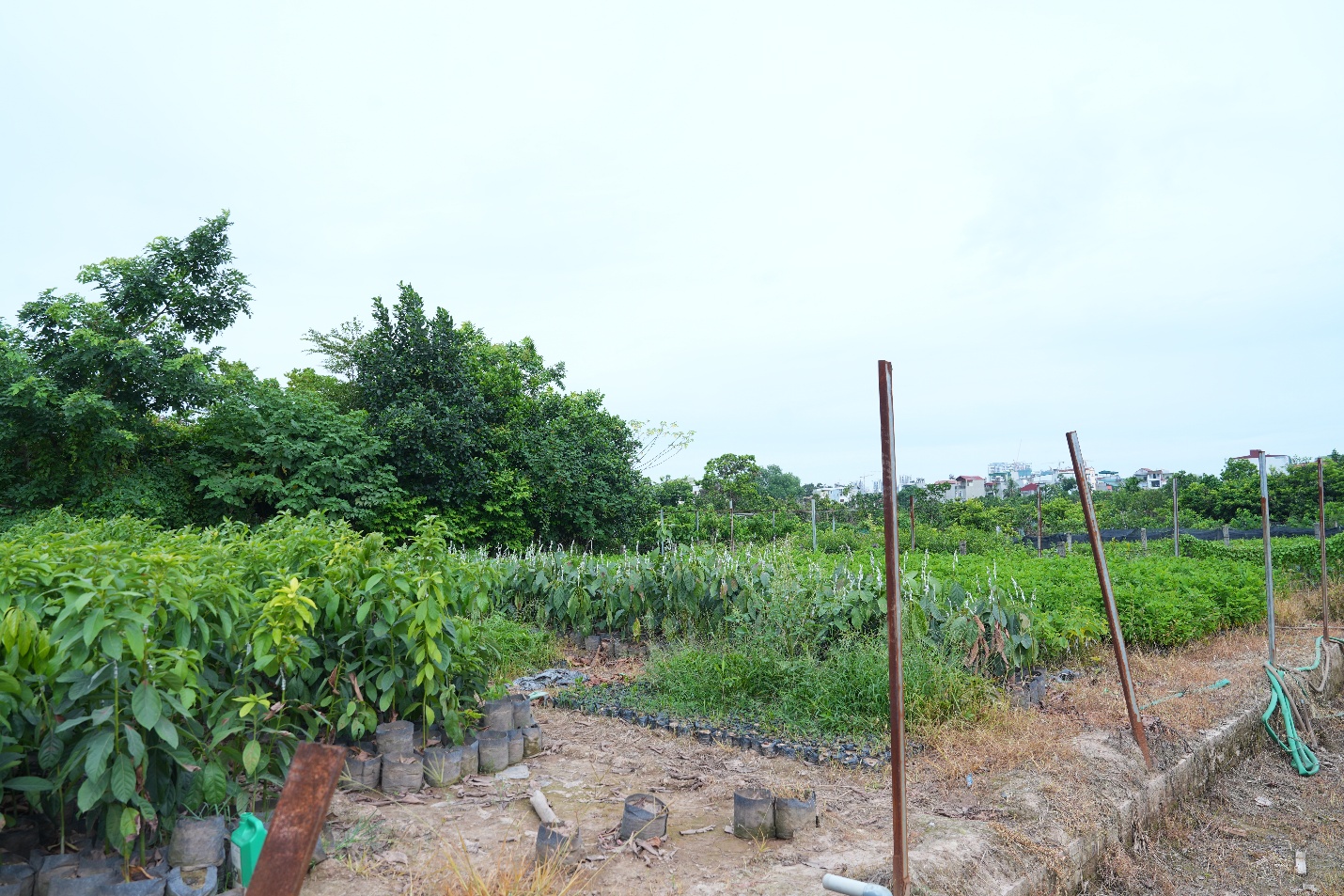 HỘI NÔNG DÂN XÃ GIA LÂM GẮN BIỂN CÔNG TRÌNH “CÁNH ĐỒNG SẠCH” VÀ RA MẮT TỔ NÔNG DÂN TỰ QUẢN VỀ AN NINH TRẬT TỰ- Ảnh 6.