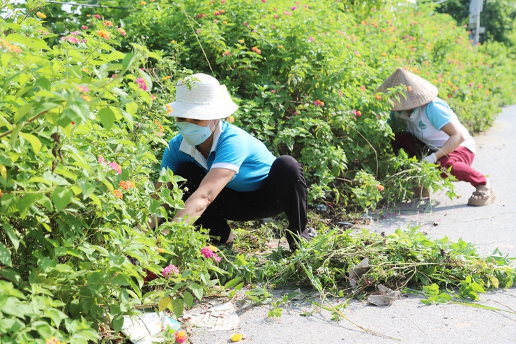 Xã Thượng Phúc đẩy mạnh các hoạt động hưởng ứng Ngày Môi trường Thế giới năm 2026- Ảnh 2.