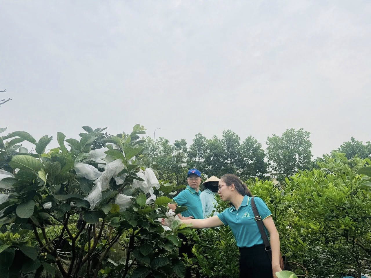 Hội Nông dân xã Gia Lâm tăng cường kiểm tra, giám sát các nguồn vốn vay hỗ trợ hội viên phát triển kinh tế- Ảnh 3.