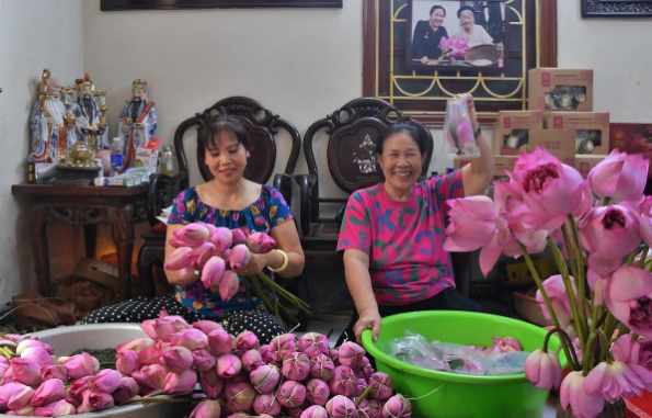 Nghệ thuật ướp trà sen Tây Hồ truyền thống- Ảnh 13.