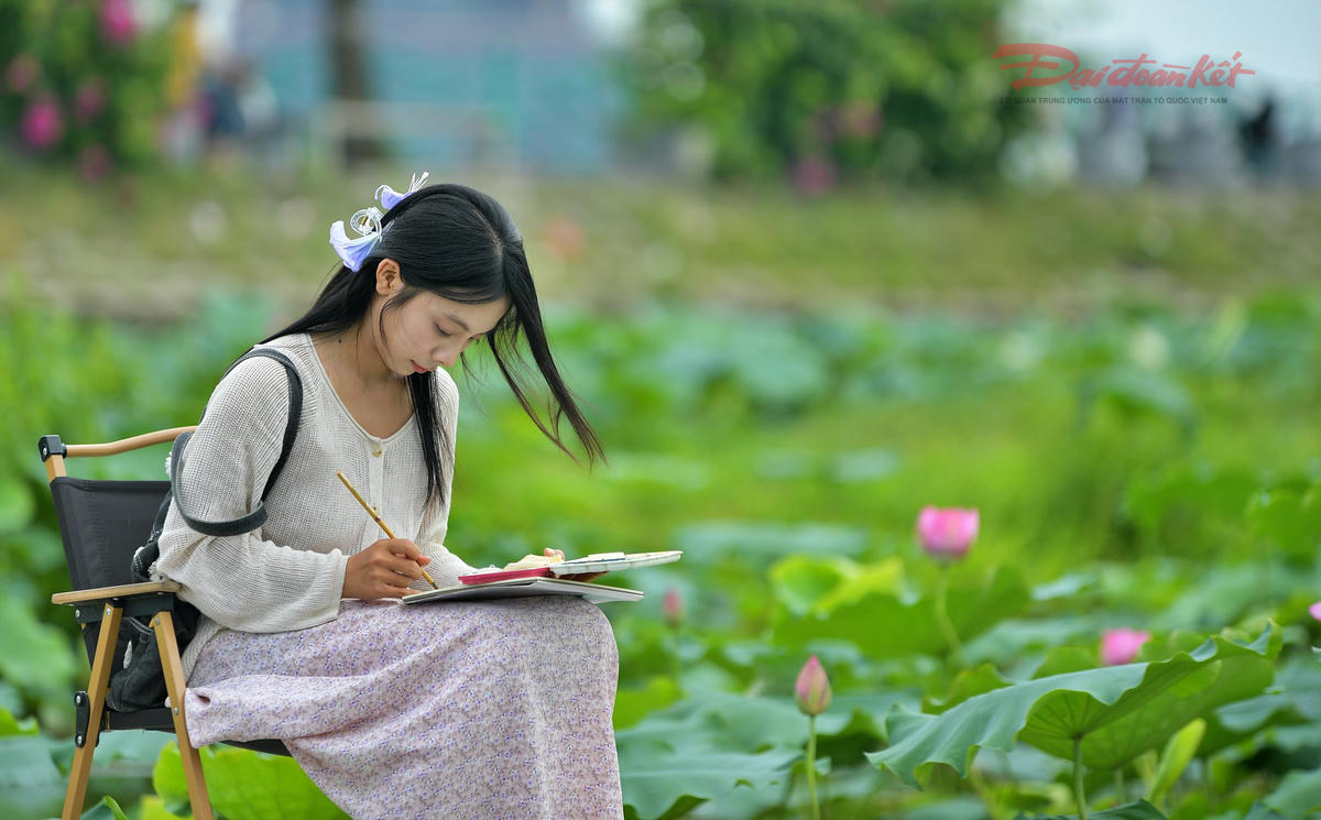 Sen Hồ Tây làm đắm say du khách- Ảnh 6.