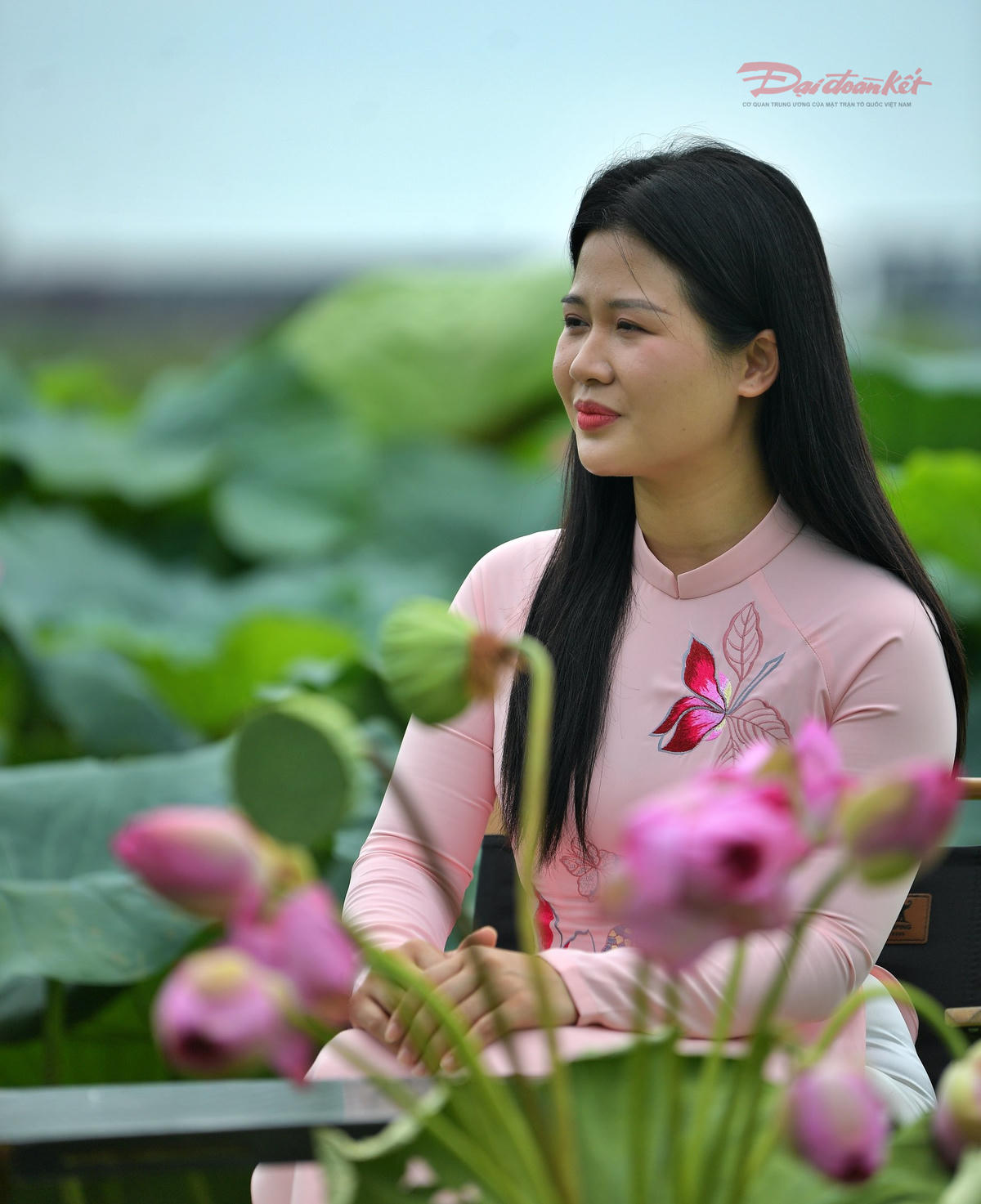 Sen Hồ Tây làm đắm say du khách- Ảnh 11.