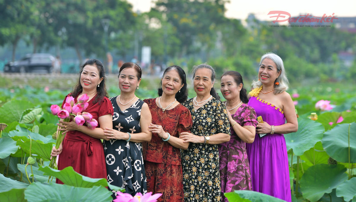 Sen Hồ Tây làm đắm say du khách- Ảnh 3.