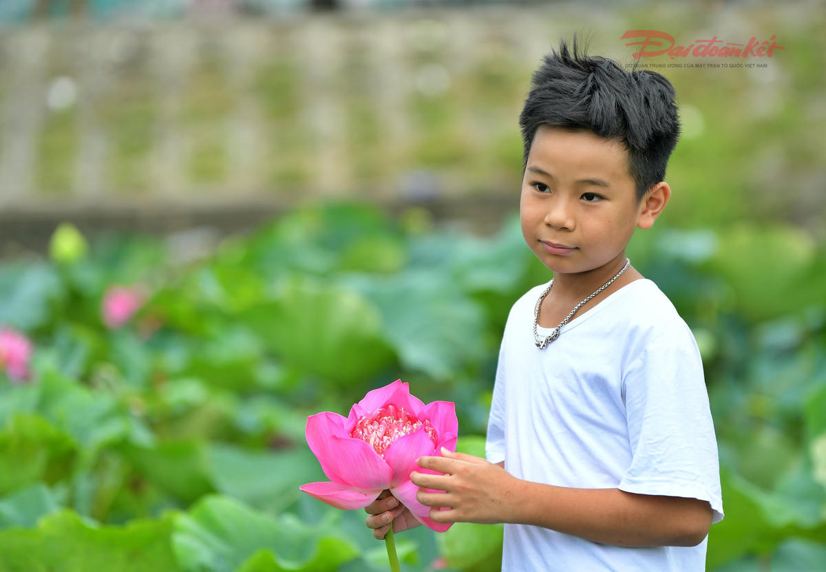 Sen Hồ Tây làm đắm say du khách- Ảnh 7.