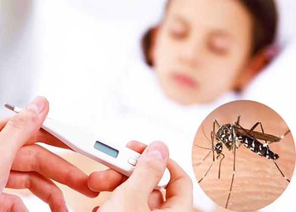 Chủ động diệt muỗi, diệt bọ gậy - Không để bùng phát sốt xuất huyết - Ảnh 1.