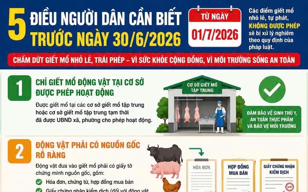 CHẤM DỨT HOẠT ĐỘNG GIẾT MỔ NHỎ LẺ, TRÁI PHÉP TRƯỚC NGÀY 30/6/2026