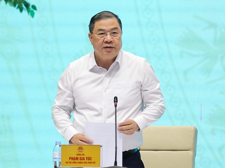 Thủ tướng Lê Minh Hưng: Tập trung nguồn lực cho sản phẩm chiến lược có khả năng dẫn dắt- Ảnh 3.