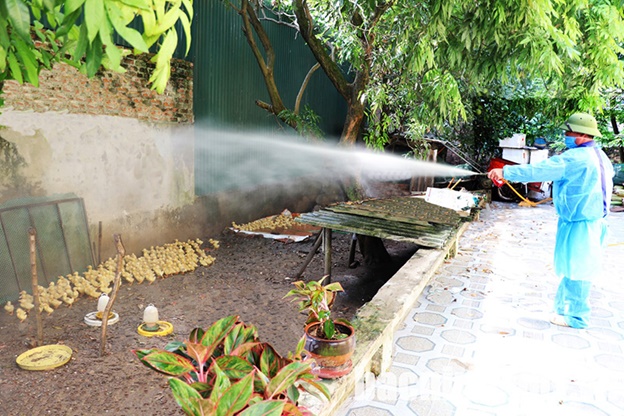 Hoài Đức hưởng ứng Ngày Môi trường thế giới và Ngày Đại dương thế giới: Chung tay vì một tương lai xanh-phát triển- Ảnh 4.