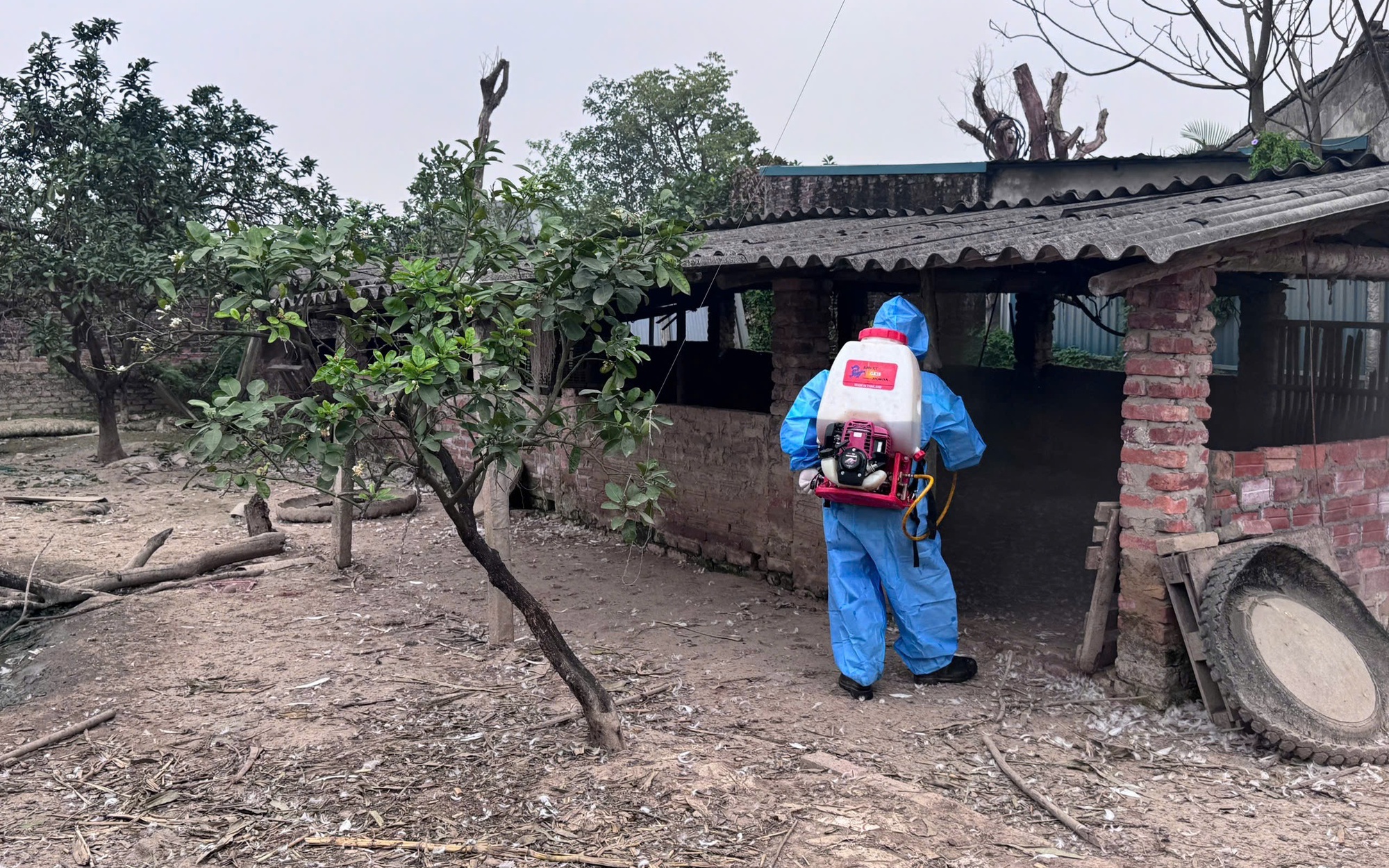 Vĩnh Thanh triển khai phun diệt ruồi, vệ sinh, khử trùng tiêu độc phòng chống dịch bệnh động vật năm 2026