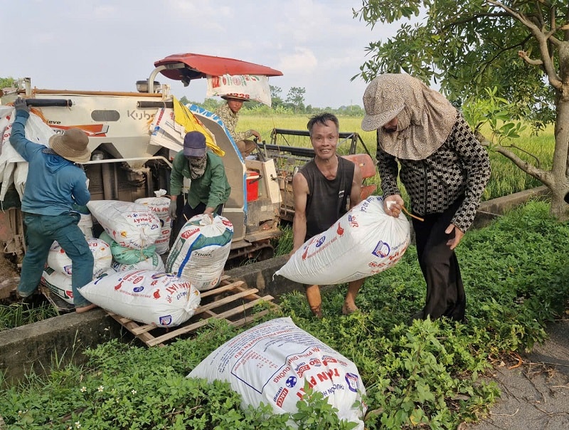 Xã Phú Xuyên: Tập trung thu hoạch lúa vụ xuân, chủ động phòng tránh thiên tai- Ảnh 2.